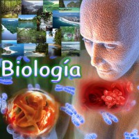 /album/la-biologia/biologia-1-jpg/